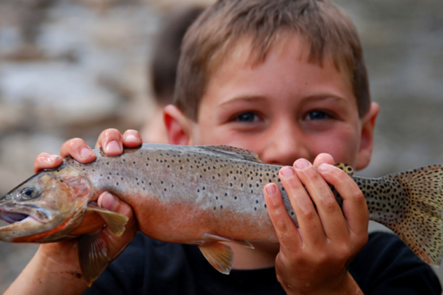 Fisch Kochkurs in der Kochschule Marieneck in Köln Ehrenfeld