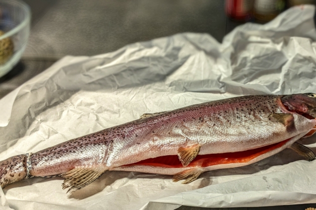Saibling beim Fisch Kochkurs in derKochschule Marieneck Köln