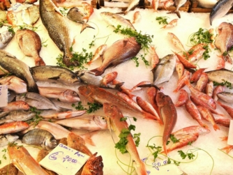 Kochkurs Köln | Fischmarkt Erlebniskochen