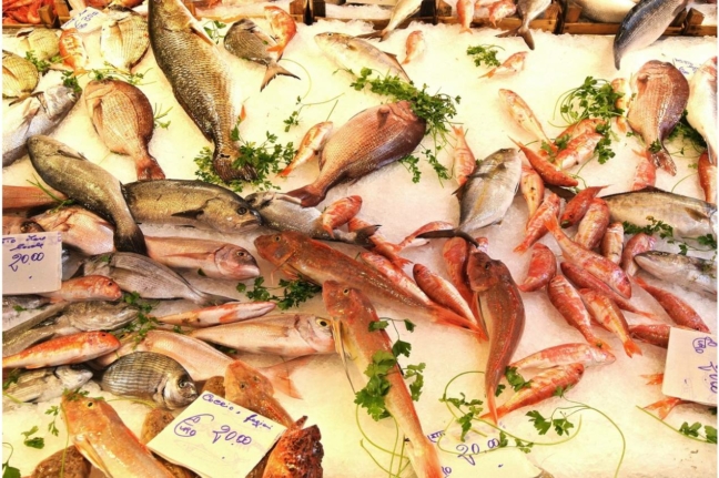 Kochkurs Köln | Fischmarkt Erlebniskochen